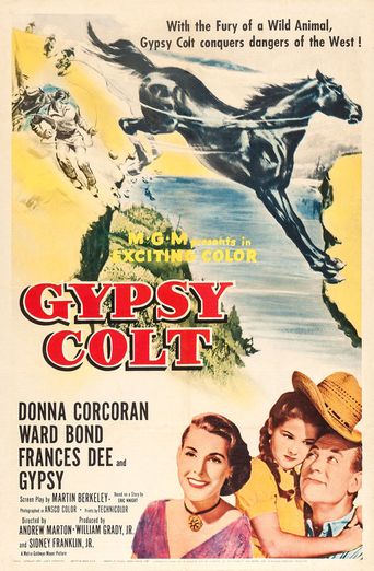  Gypsy Colt Poster
