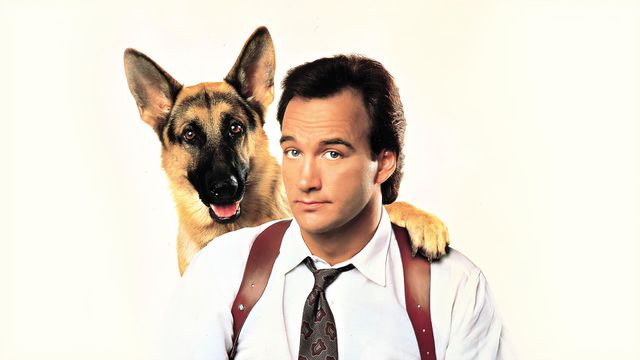 K-9 Backdrop