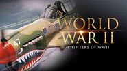 Fighters of WWII Poster