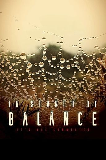  In Search of Balance Poster