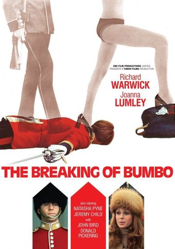  The Breaking of Bumbo Poster