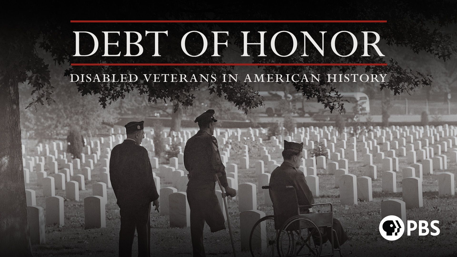 Debt of Honor: Disabled Veterans in American History Backdrop