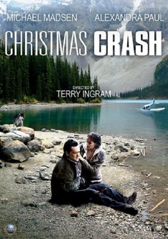  Christmas Crash Poster