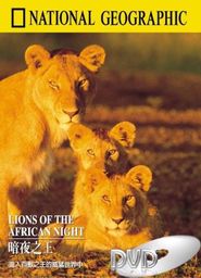 Lions of the African Night Poster