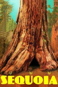  Sequoia Poster
