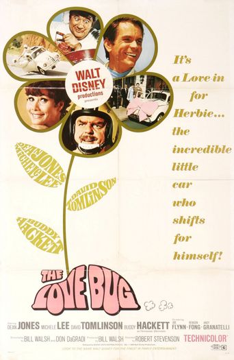  The Love Bug Poster