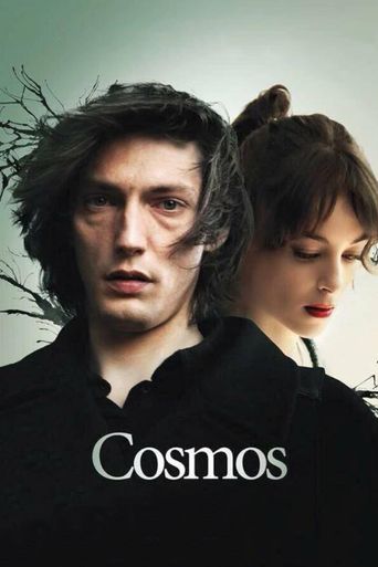  Cosmos Poster