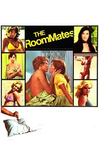  The Roommates Poster