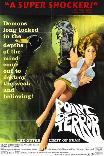  Point of Terror Poster