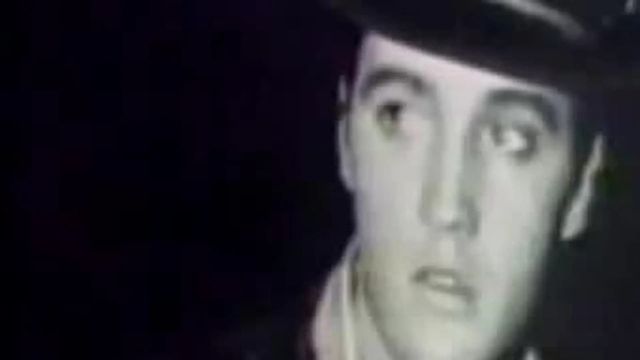 Elvis: The Last 24 Hours Backdrop