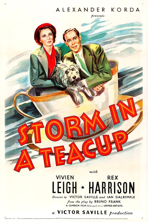 Storm in a Teacup Poster