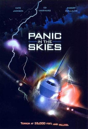  Panic in the Skies Poster