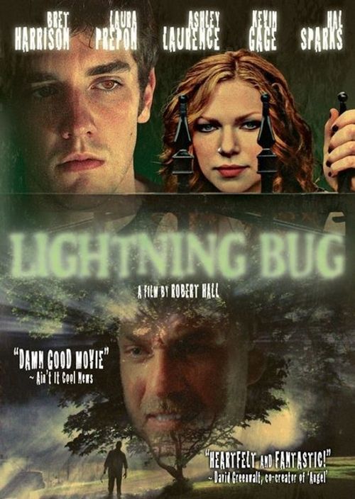 Lightning Bug Poster