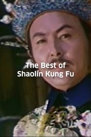  Best of Shaolin Kung Fu Poster