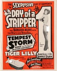  Day of a Stripper Poster