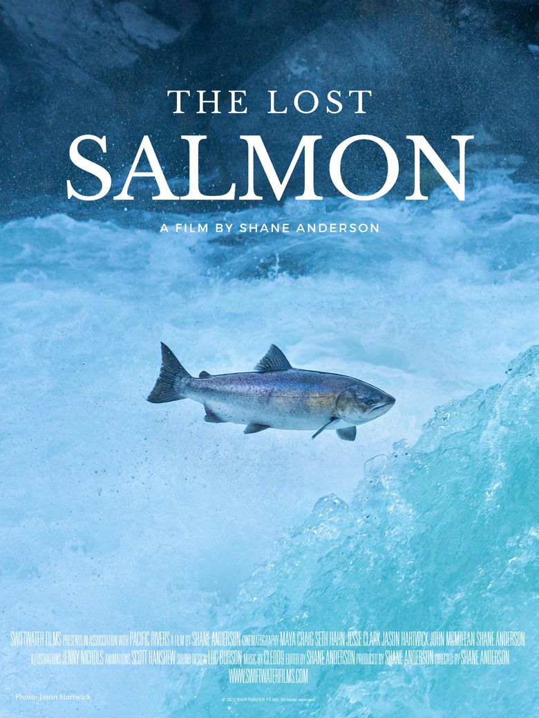 The Lost Salmon