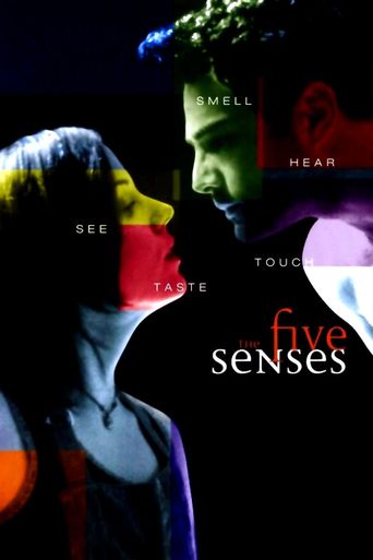  The Five Senses Poster