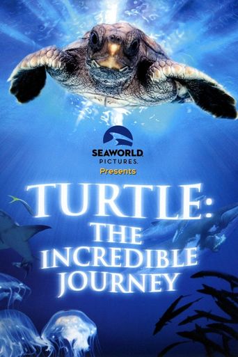  Turtle: The Incredible Journey Poster