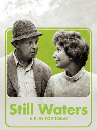  Still Waters Poster
