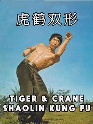  Tiger and Crane Shaolin Kung Fu Poster