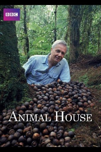  Animal House Poster