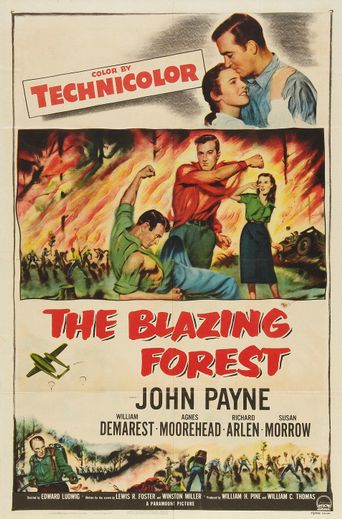 The Blazing Forest Poster