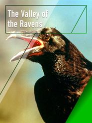  The Valley of the Ravens Poster