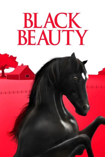  Black Beauty Poster