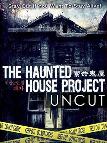  The Haunted House Project Poster