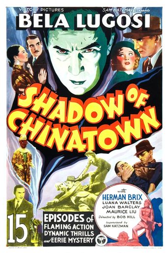  Shadow of Chinatown Poster