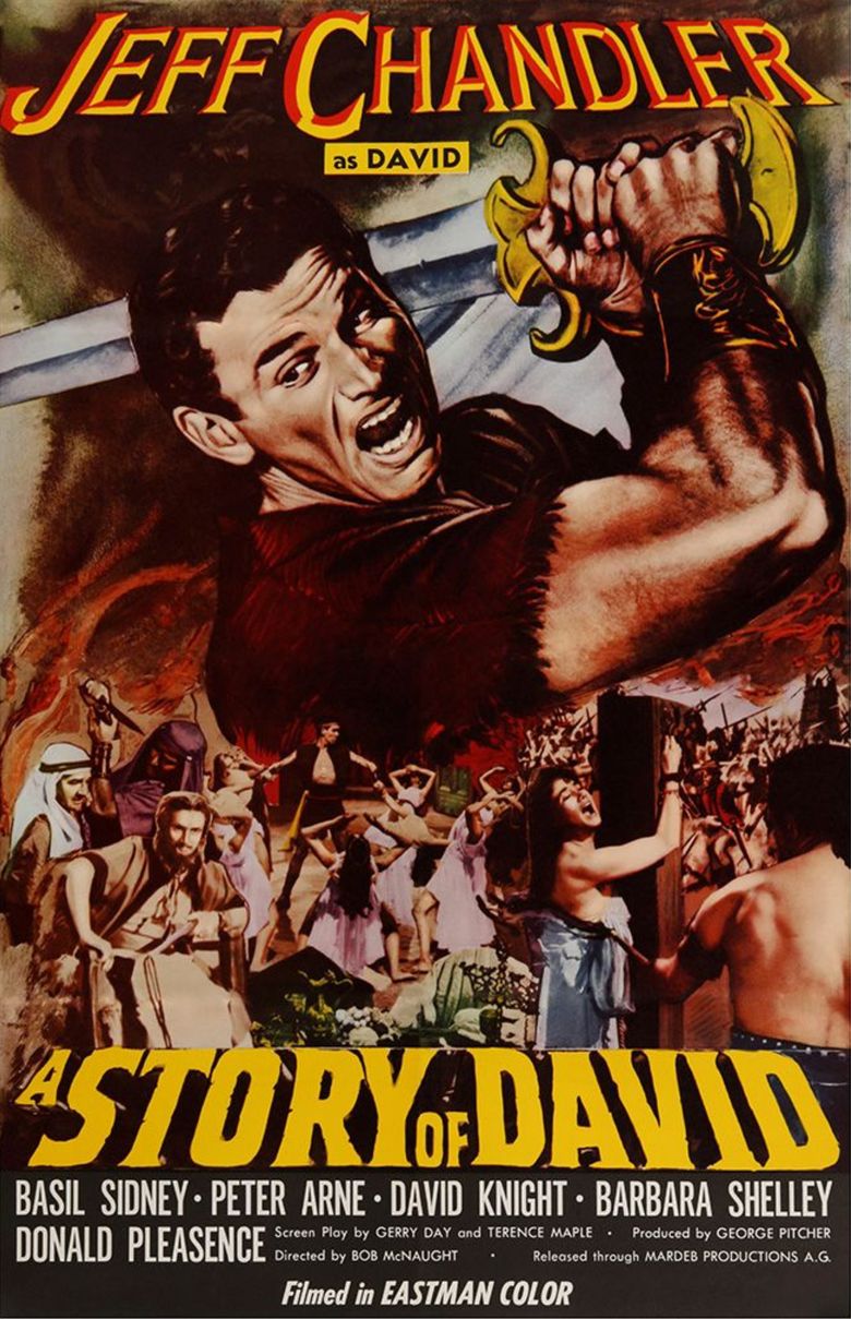 A Story of David: The Hunted Poster