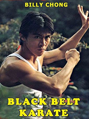  Black Belt Karate Poster