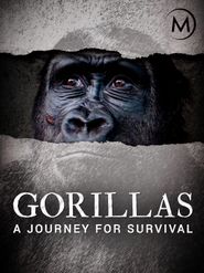  Gorillas: A Journey for Survival Poster
