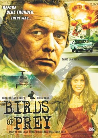  Birds of Prey Poster