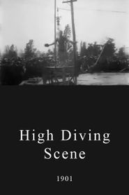 High Diving Scene Poster