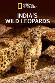  India's Wild Leopards Poster