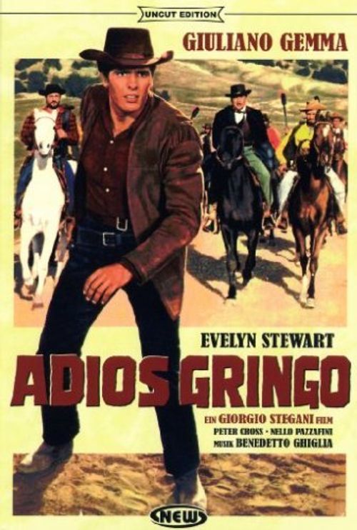 Adiós Gringo Poster