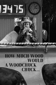  How Much Wood Would a Woodchuck Chuck... Poster