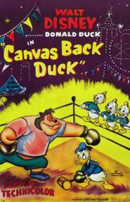  Canvas Back Duck Poster