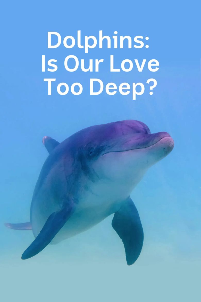 Dolphins, Is Our Love Too Deep?