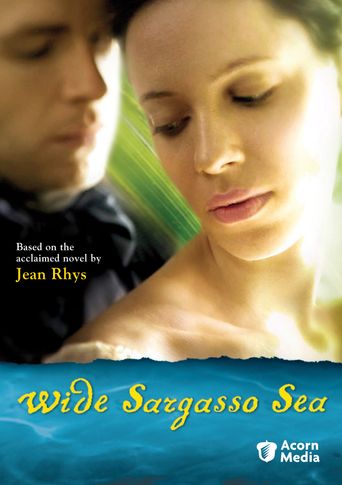  Wide Sargasso Sea Poster