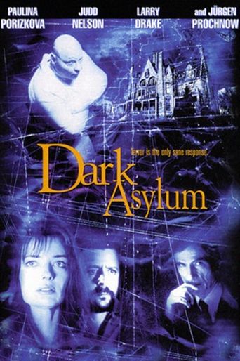  Dark Asylum Poster