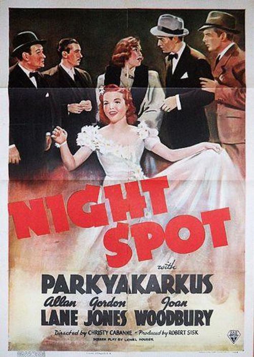 Night Spot Poster