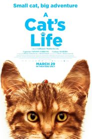  A Cat's Life Poster