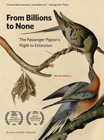  From Billions to None: The Passenger Pigeon's Flight to Extinction Poster