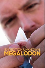  Expedition Unknown: Megalodon Poster