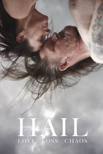  Hail Poster