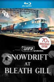  Snowdrift at Bleath Gill Poster
