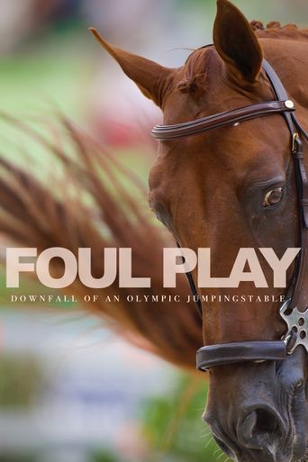  Foul Play Poster