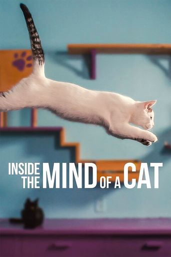 New releases Inside the Mind of a Cat Poster